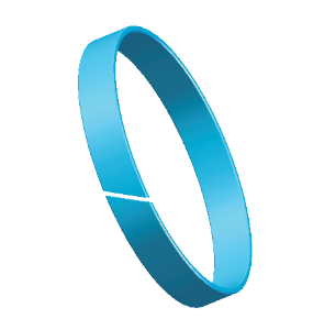 wear ring